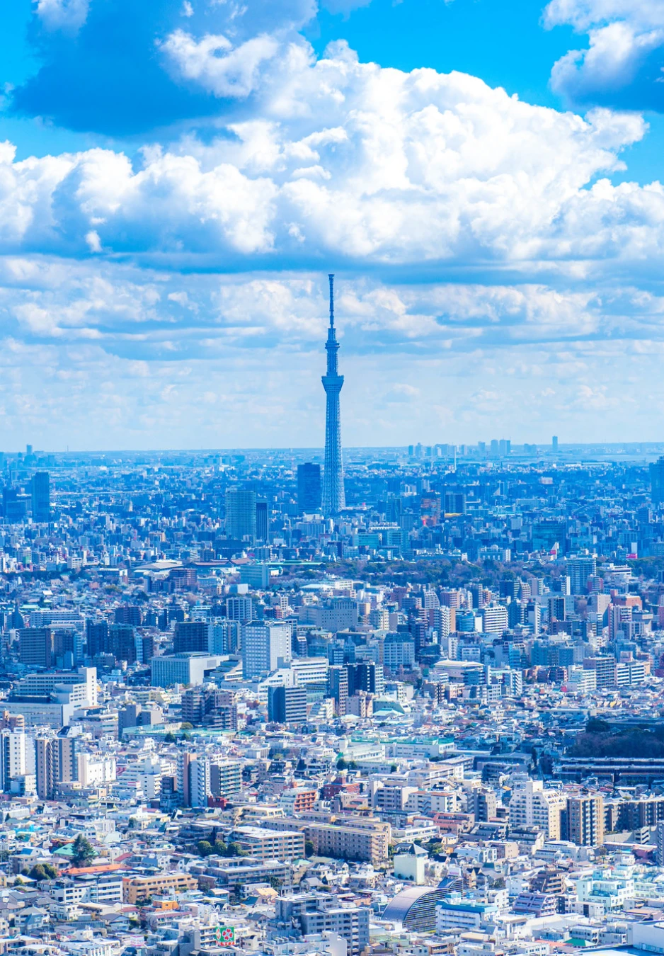 東京の街並みと東京スカイツリー